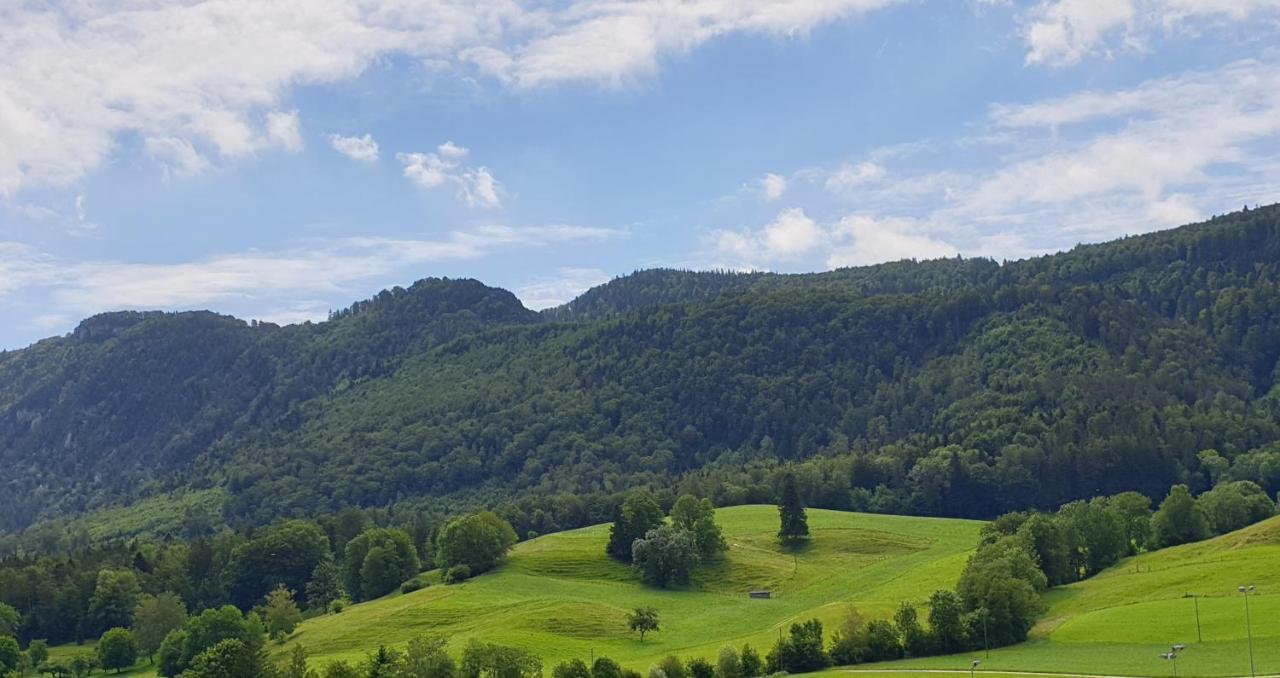 Hotel Gasthof Kreuz Welschenrohr Eksteriør billede