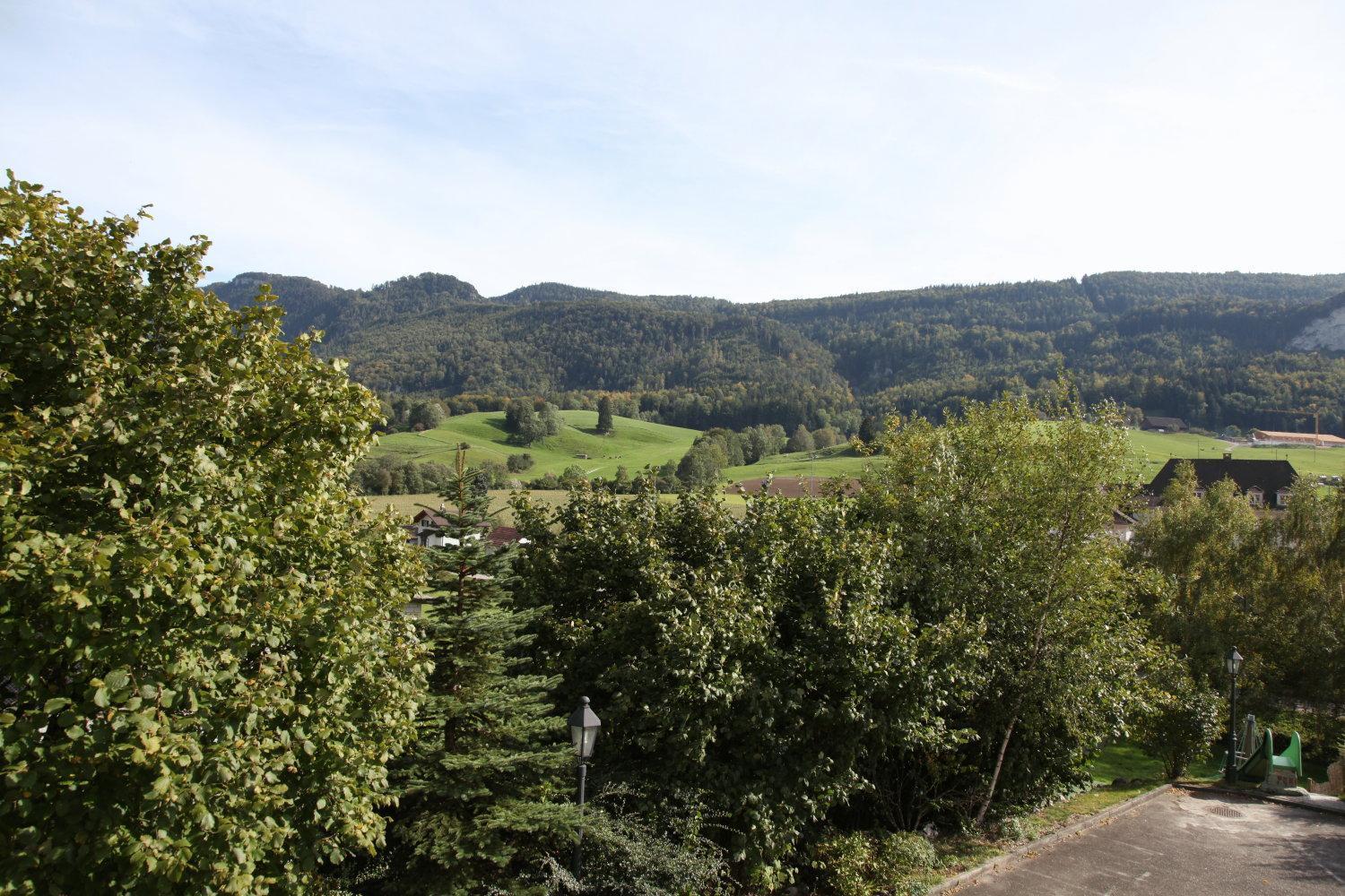 Hotel Gasthof Kreuz Welschenrohr Eksteriør billede